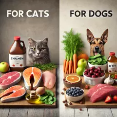 Ingredientes Específicos para Gatos y Perros en Dieta BARF